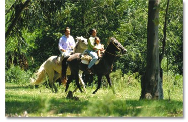 horse back riding